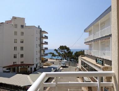 vistas desde la terraza