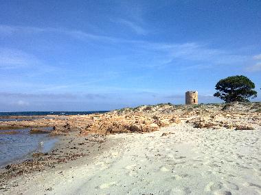 Cama y desayuno en Posada (Nuoro)Casa de vacaciones