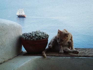 Casa de vacaciones en oia (Kyklades)Casa de vacaciones