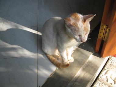 Casa de vacaciones en Hikkaduwa-Gonipinuwala (Galle)Casa de vacaciones