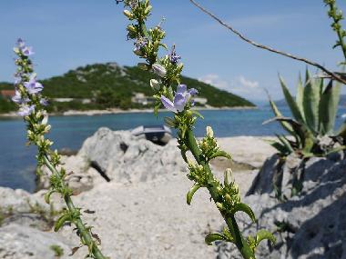 Villa en Dubrovnik Area Kabli  (Dubrovacko-Neretvanska)Casa de vacaciones