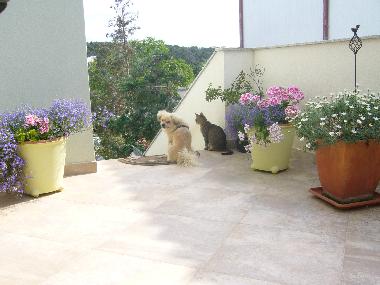 Apartamento de vacaciones en Banjole (Istarska)Casa de vacaciones