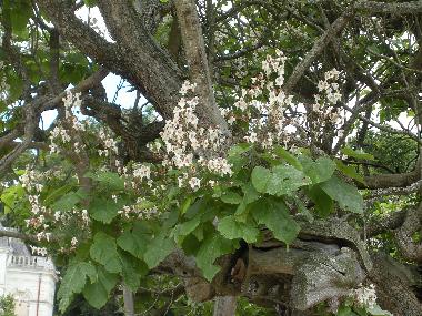 Casa de vacaciones en ST. BOMER LES FORGES (Orne)Casa de vacaciones