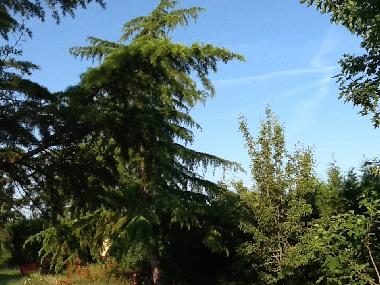 Apartamento de vacaciones en Brugui�res (Haute-Garonne)Casa de vacaciones