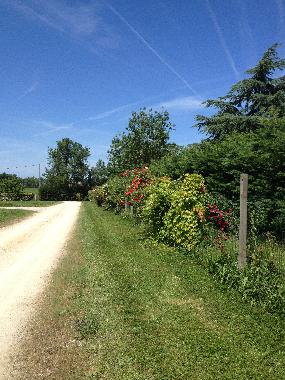 Apartamento de vacaciones en Brugui�res (Haute-Garonne)Casa de vacaciones
