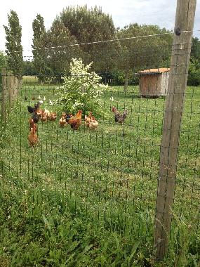 Apartamento de vacaciones en Brugui�res (Haute-Garonne)Casa de vacaciones