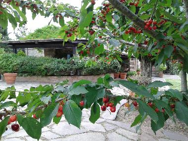 Apartamento de vacaciones en Colonnetta di Prodo Orvieto (Terni)Casa de vacaciones