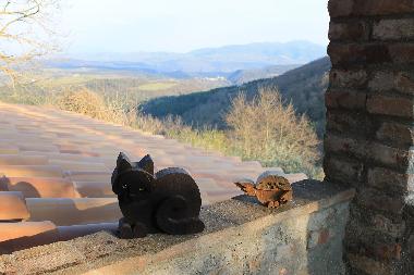 Apartamento de vacaciones en Colonnetta di Prodo Orvieto (Terni)Casa de vacaciones