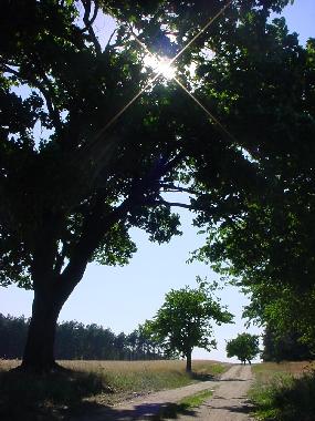 Casa de vacaciones en Nuthe-Urstromtal OT Berkenbr�ck (Teltow-Fl�ming)Casa de vacaciones