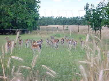 Casa de vacaciones en Nuthe-Urstromtal OT Berkenbr�ck (Teltow-Fl�ming)Casa de vacaciones