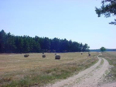 Casa de vacaciones en Nuthe-Urstromtal OT Berkenbr�ck (Teltow-Fl�ming)Casa de vacaciones