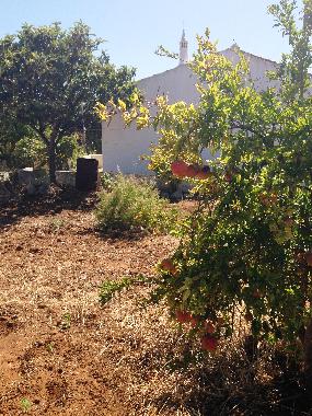 Casa de vacaciones en vila nova de cacela, portugal (Algarve)Casa de vacaciones