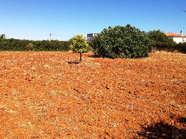 Casa de vacaciones en vila nova de cacela, portugal (Algarve)Casa de vacaciones