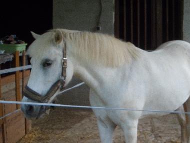 Casa de vacaciones en pirajoux (Ain)Casa de vacaciones