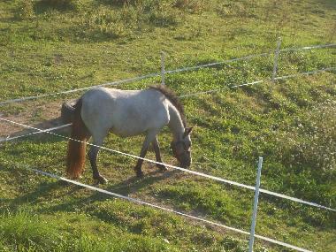 Casa de vacaciones en pirajoux (Ain)Casa de vacaciones