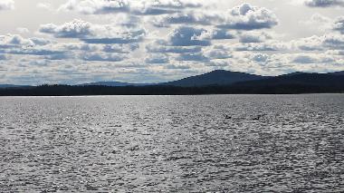 Casa de vacaciones en Vidsel (Norrbotten)Casa de vacaciones