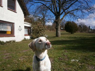 Apartamento de vacaciones en Malente-Krummsee (Holsteinische Schweiz)Casa de vacaciones