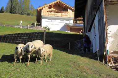 Villa en  St. Christina in Gr�den (Bolzano-Bozen)Casa de vacaciones