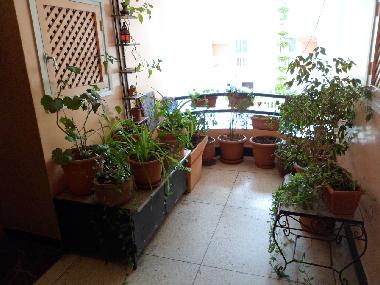 Apartamento de vacaciones en Agadir (Agadir)Casa de vacaciones