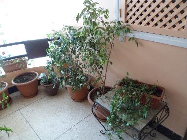 Apartamento de vacaciones en Agadir (Agadir)Casa de vacaciones