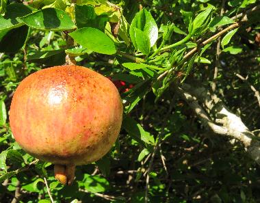 Apartamento de vacaciones en Fontane bianche (Siracusa)Casa de vacaciones