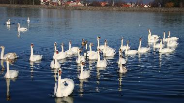 Cama y desayuno en Ogulin (Karlovacka)Casa de vacaciones