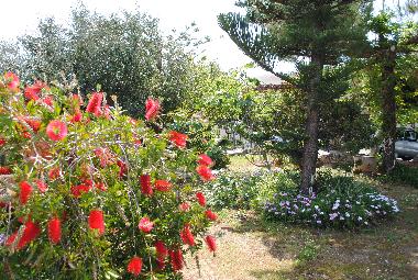 Apartamento de vacaciones en Kalamaki - Kato Galatas (Chania)Casa de vacaciones