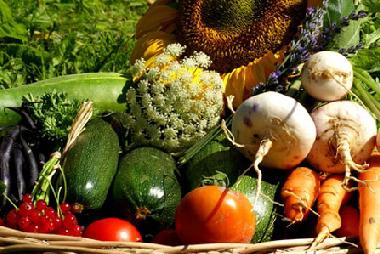 Casa de vacaciones en El Brakik El Khnafife (Taroudannt)Casa de vacaciones