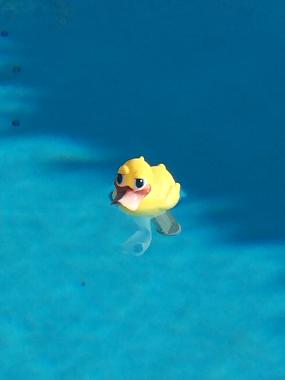 Villa en Lorgues (Var)Casa de vacaciones