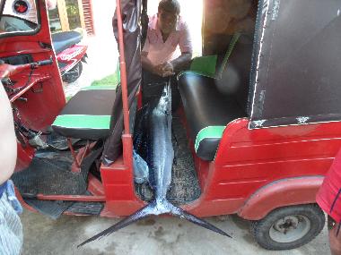 Cama y desayuno en Thiranagama (Galle)Casa de vacaciones