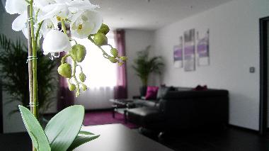 Apartamento de vacaciones en Lotte / Osnabrck (Osnabrcker Land)Casa de vacaciones