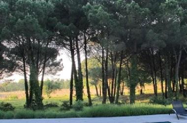 Villa en Gassin (Var)Casa de vacaciones