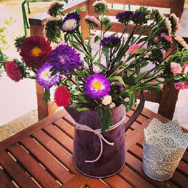 Cama y desayuno en Bol (Splitsko-Dalmatinska)Casa de vacaciones