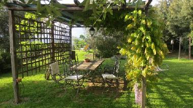 Apartamento de vacaciones en Piegaro (Perugia)Casa de vacaciones