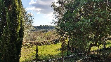 Elegante Villa vacacional del siglo XVIII en Muro. Mallorca.3