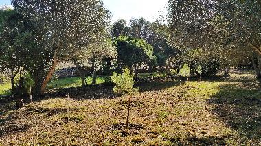 Elegante Villa vacacional del siglo XVIII en Muro. Mallorca.4