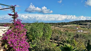 Elegante Villa vacacional del siglo XVIII en Muro. Mallorca.8