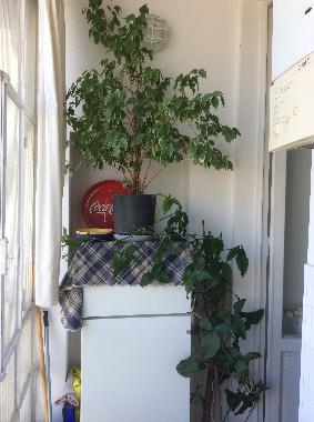 Apartamento de vacaciones en Florence (Firenze)Casa de vacaciones