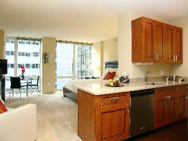 Apartamento de vacaciones en Chicago (Illinois)Casa de vacaciones