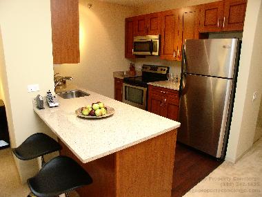 Apartamento de vacaciones en Chicago (Illinois)Casa de vacaciones