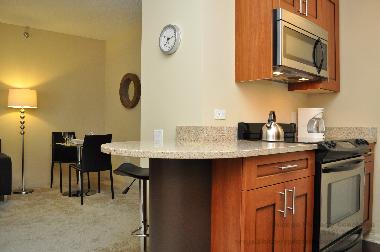 Apartamento de vacaciones en Chicago (Illinois)Casa de vacaciones