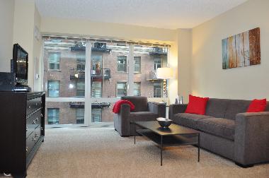 Apartamento de vacaciones en Chicago (Illinois)Casa de vacaciones
