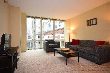 Apartamento de vacaciones en Chicago (Illinois)Casa de vacaciones