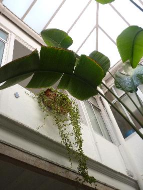 Apartamento de vacaciones en Jerez de la Frontera (Cdiz)Casa de vacaciones