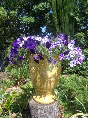 Villa en La Tour sur Orb (Hrault)Casa de vacaciones