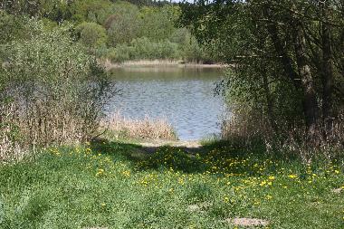 Apartamento de vacaciones en Feldberger Seenlandschaft (Mecklenburgische Seenplatte)Casa de vacaciones