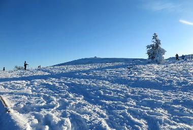Casa de vacaciones en Soultzeren (Haut-Rhin)Casa de vacaciones
