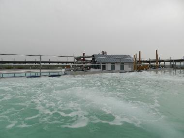 Apartamento de vacaciones en Dorum-Neufeld (Nordsee-Festland / Ostfriesland)Casa de vacaciones