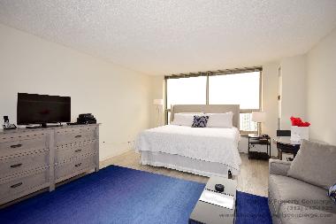 Apartamento de vacaciones en Chicago (Illinois)Casa de vacaciones