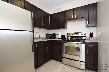Apartamento de vacaciones en Chicago (Illinois)Casa de vacaciones